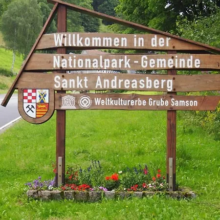 Wohnung Julius 1 Sankt Andreasberg Eksteriør billede